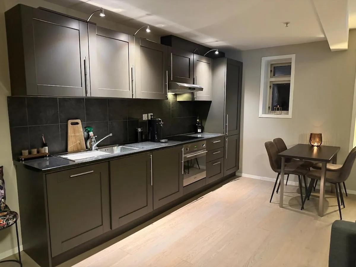Modern Central Apartment In A Quiet Area Bergen